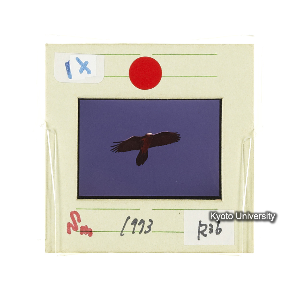 Sm　1973　R36　●[赤色シール] (2)