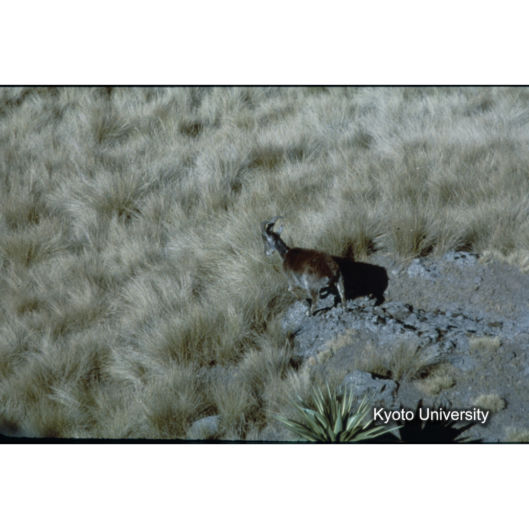 Sm　1973　R7　●[赤色シール] (1)