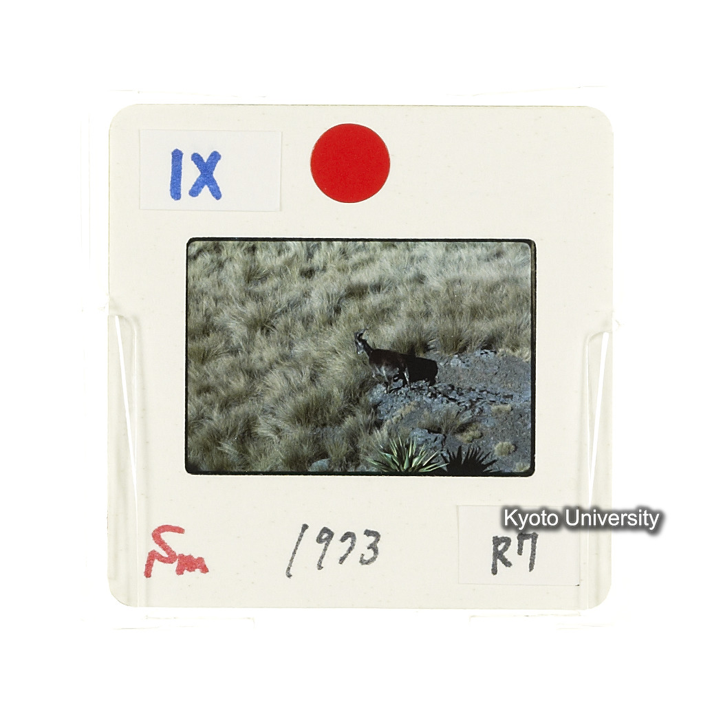 Sm　1973　R7　●[赤色シール] (2)