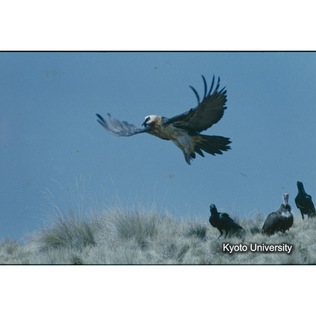 Sm　1973　R38　●[赤色シール] (1)