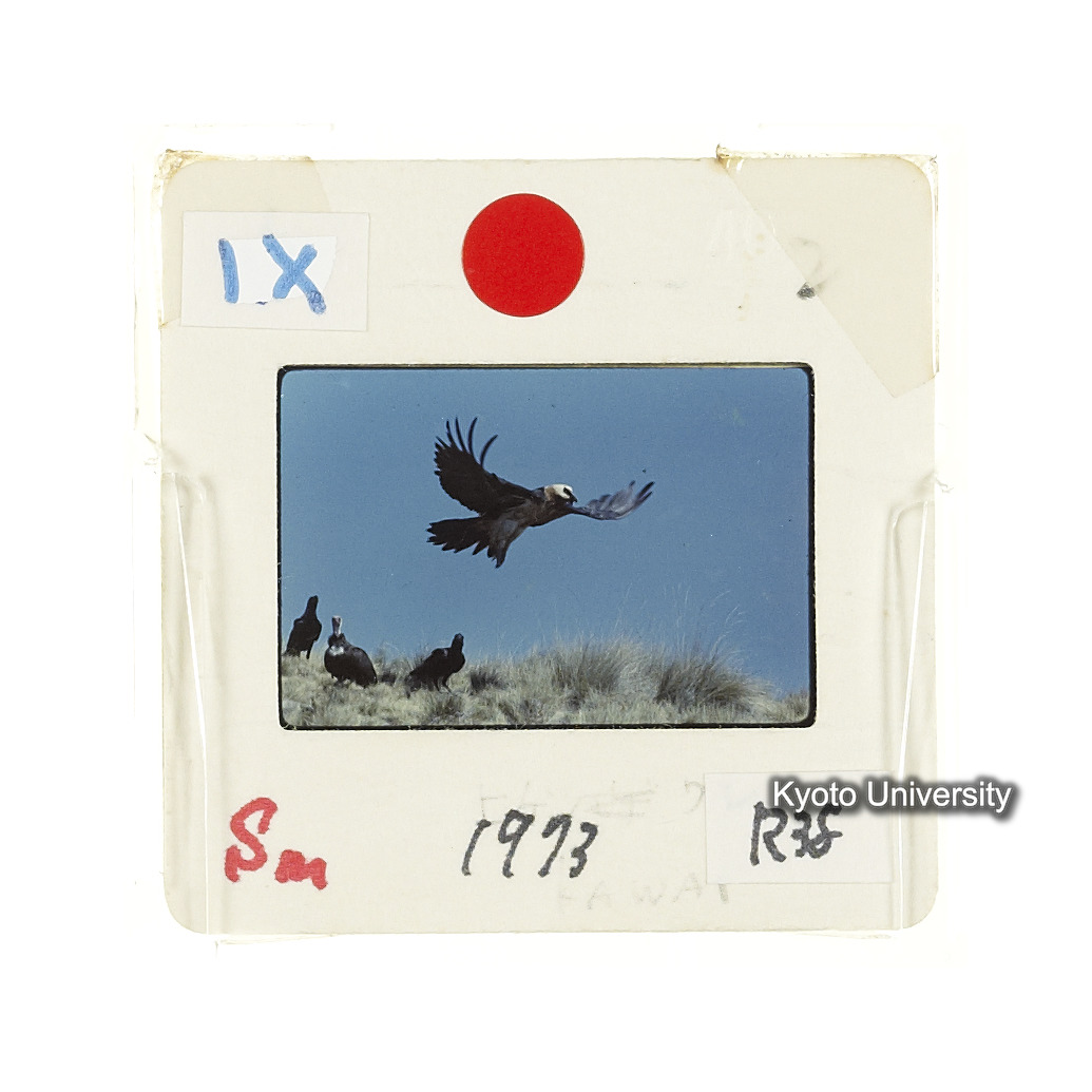 Sm　1973　R38　●[赤色シール] (2)