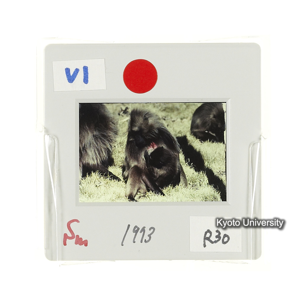 Sm　1973　R30　●[赤色シール] (2)