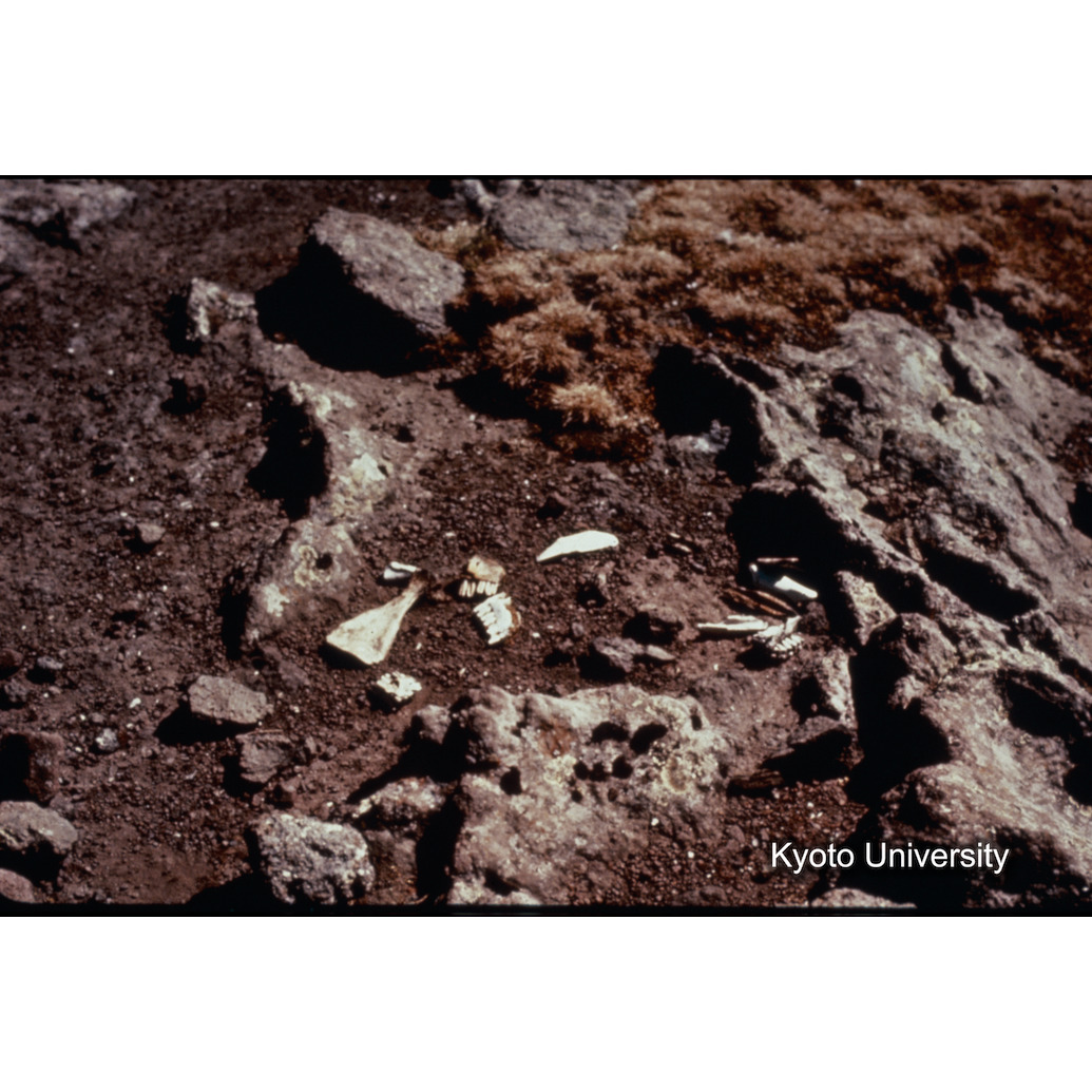 Sm　1973　R21　●[赤色シール] (1)