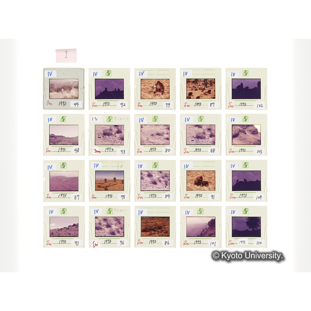 [スライドシート] 1 (1)