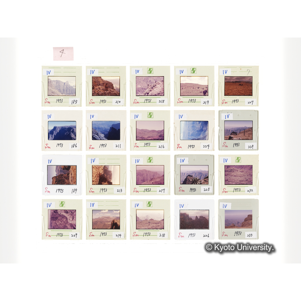 [スライドシート] 4 (1)