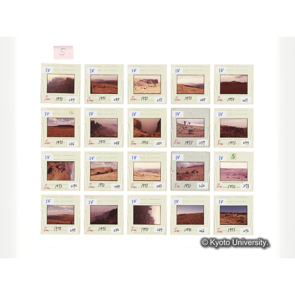 [スライドシート] 5 (1)