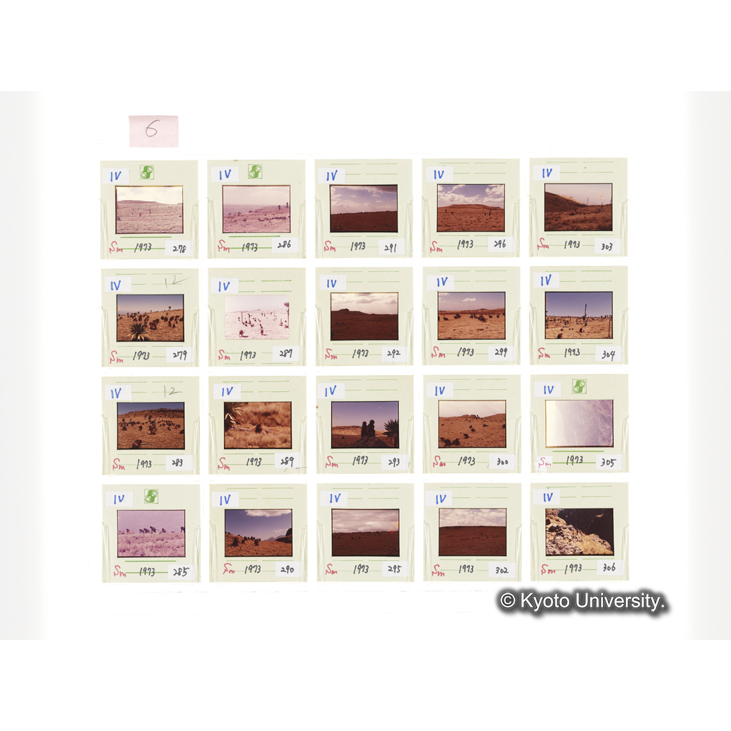 [スライドシート] 6 (1)