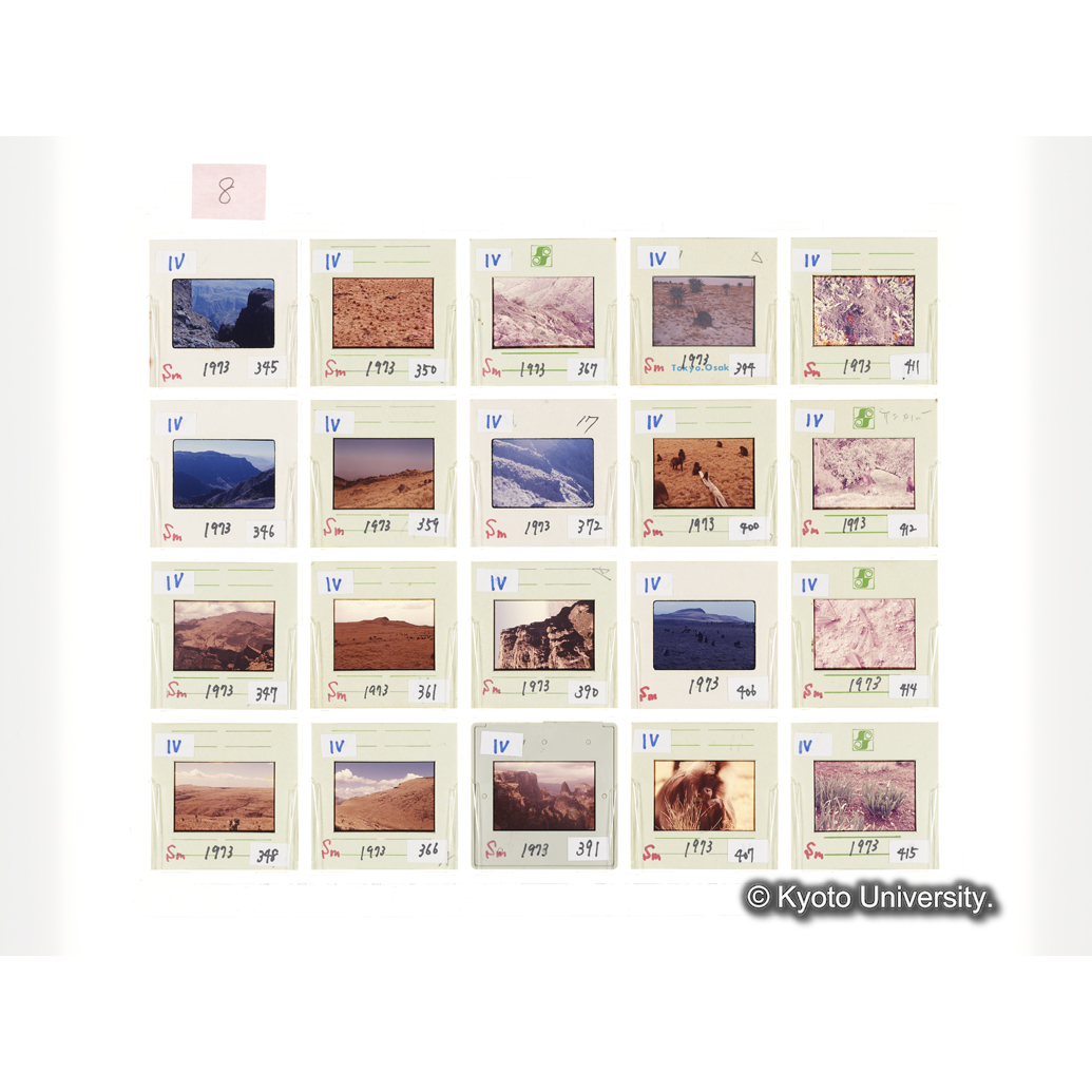 [スライドシート] 8 (1)