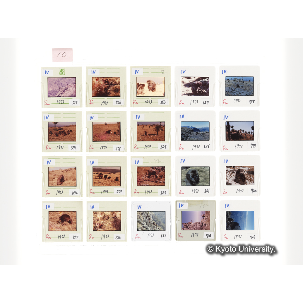 [スライドシート]10 (1)