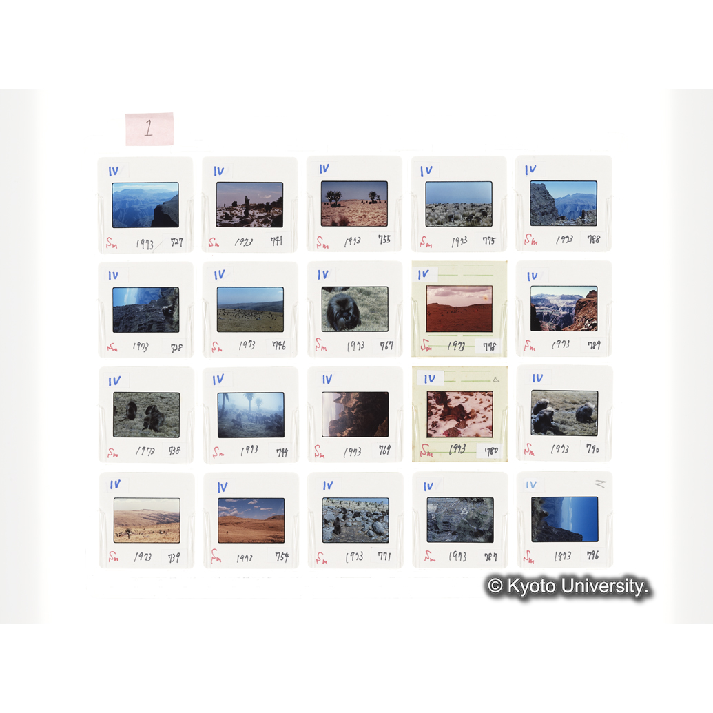 [スライドシート] 1 (1)