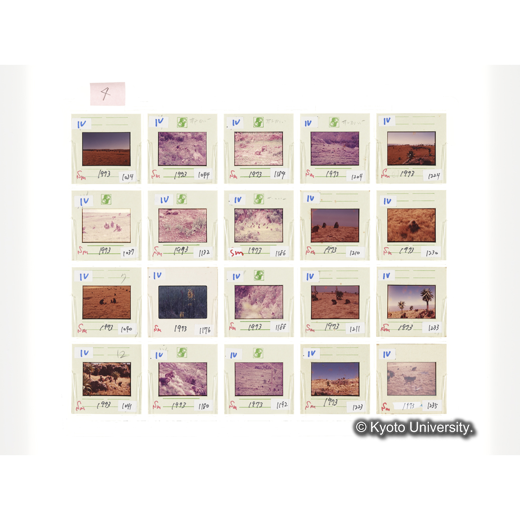 [スライドシート] 4 (1)