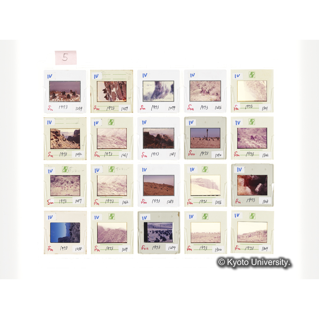 [スライドシート] 5 (1)