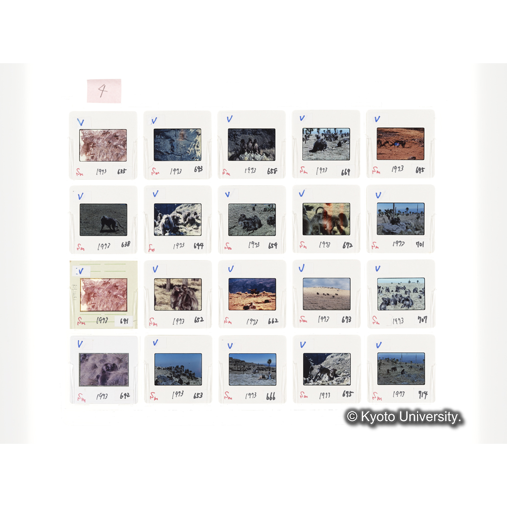 [スライドシート] 4 (1)