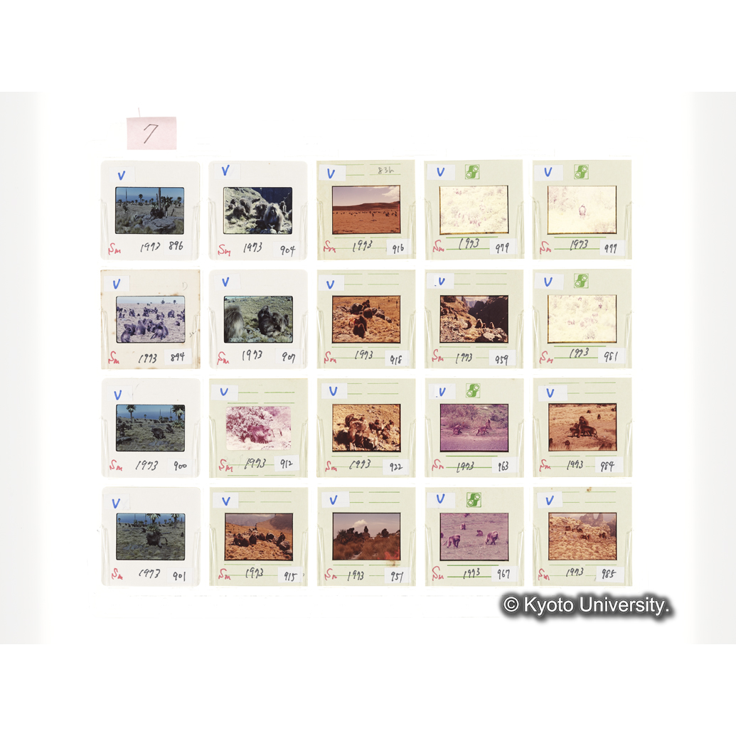 [スライドシート] 7 (1)