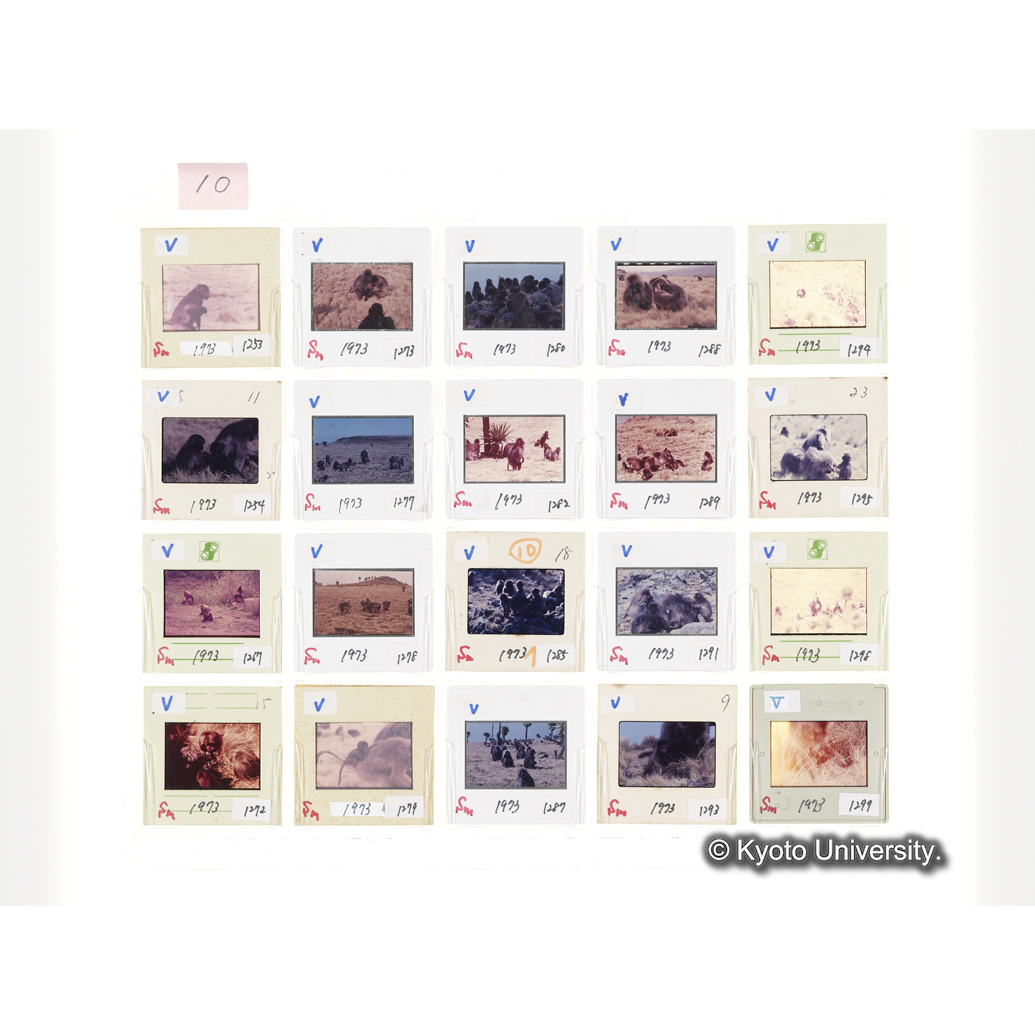 [スライドシート]10 (1)