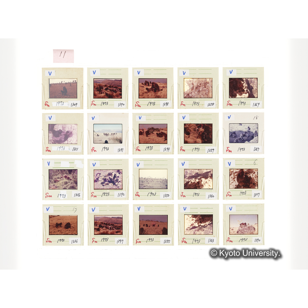 [スライドシート]11 (1)