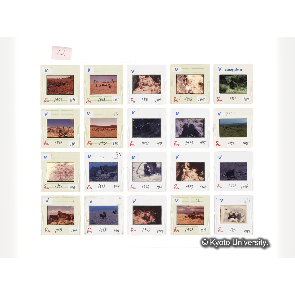 [スライドシート]12 (1)