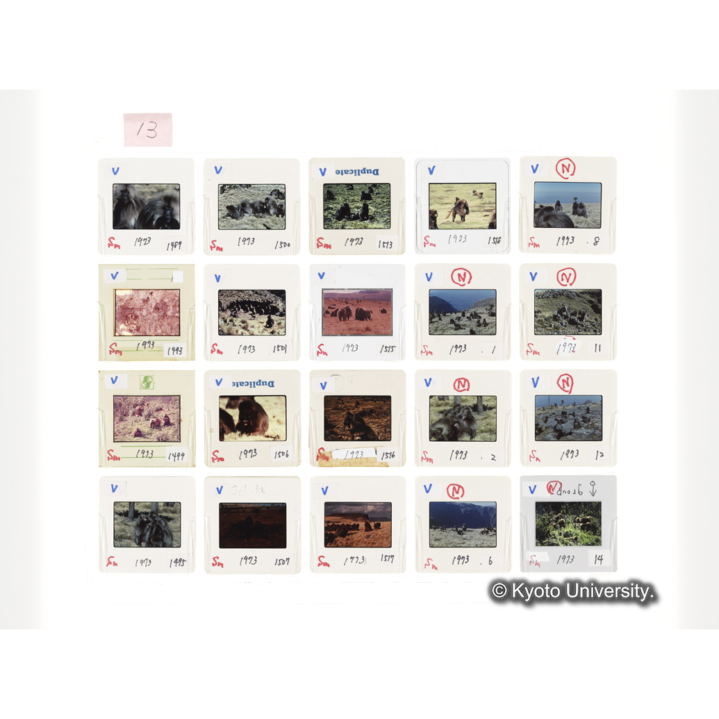 [スライドシート]13 (1)