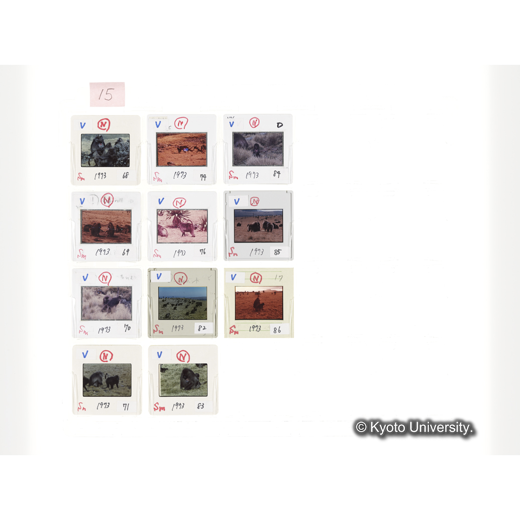 [スライドシート]15 (1)