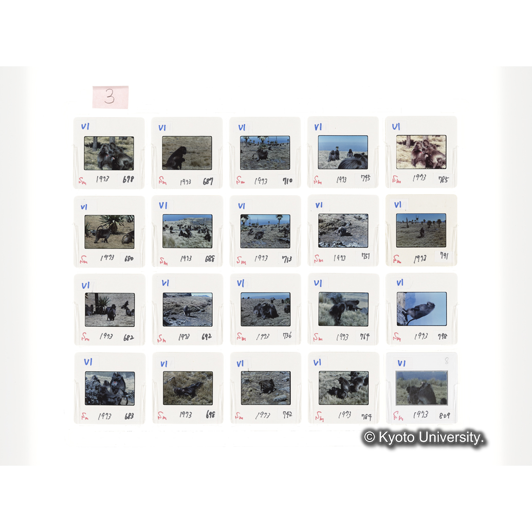 [スライドシート] 3 (1)