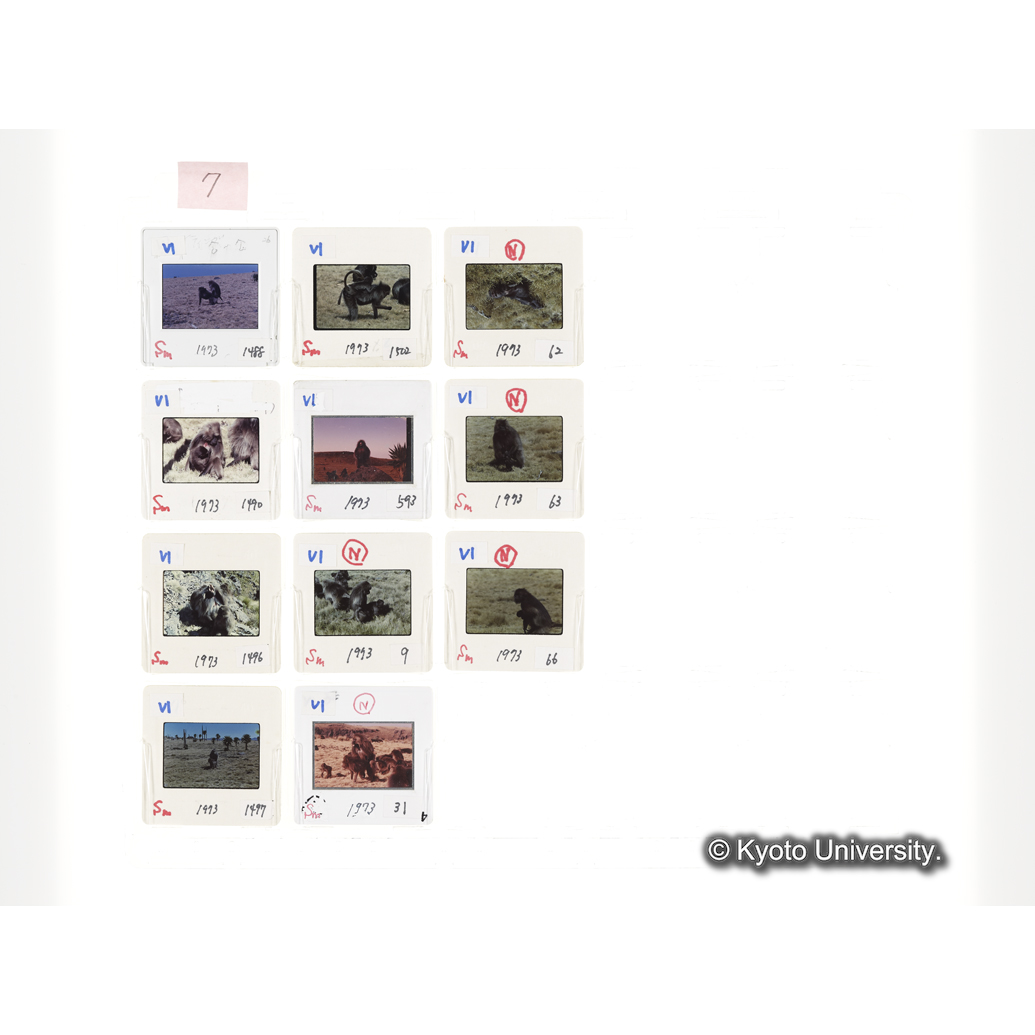 [スライドシート] 7 (1)