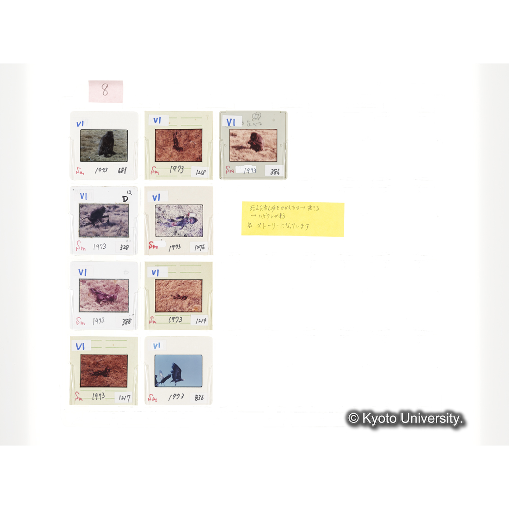 [スライドシート] 8 (1)