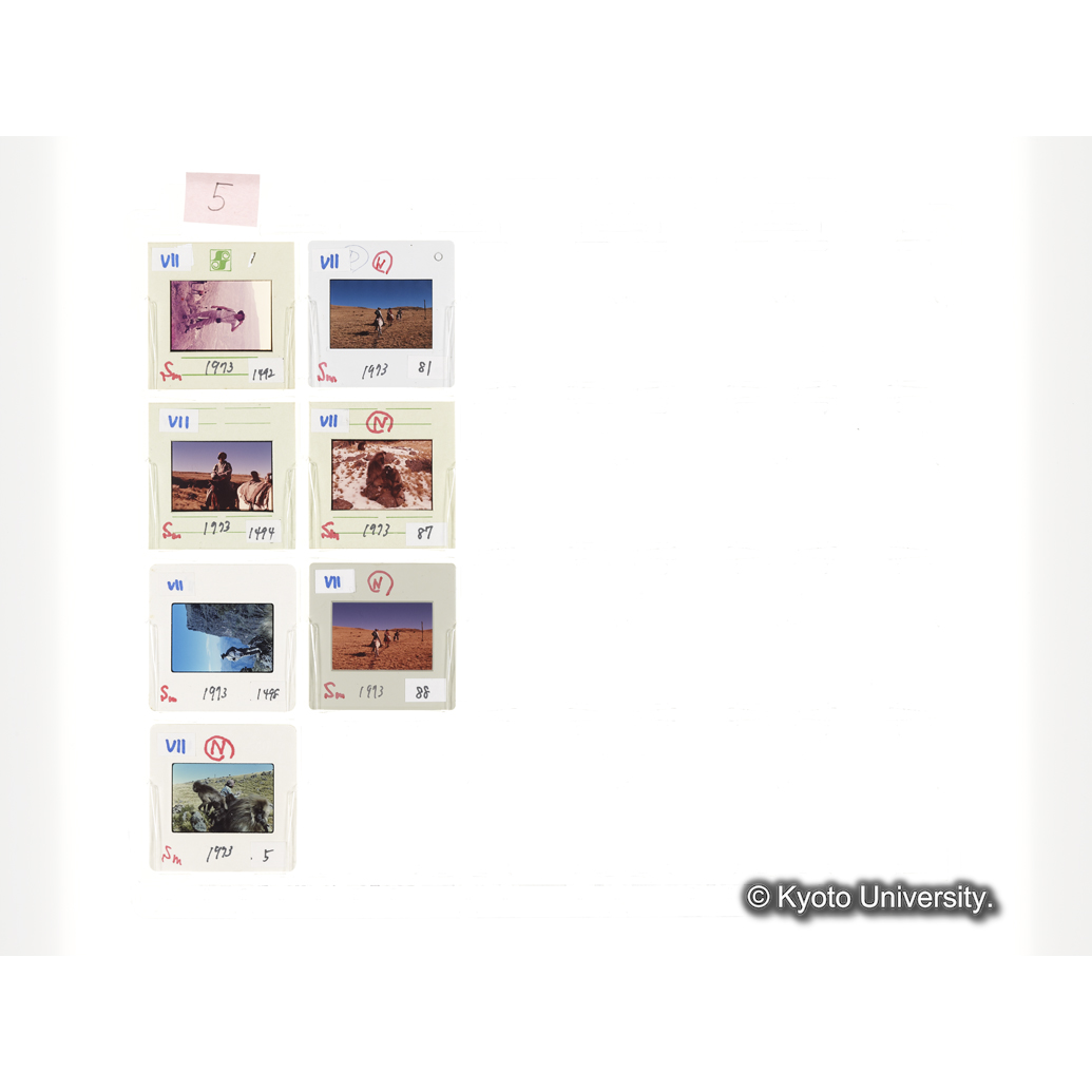 [スライドシート] 5 (1)