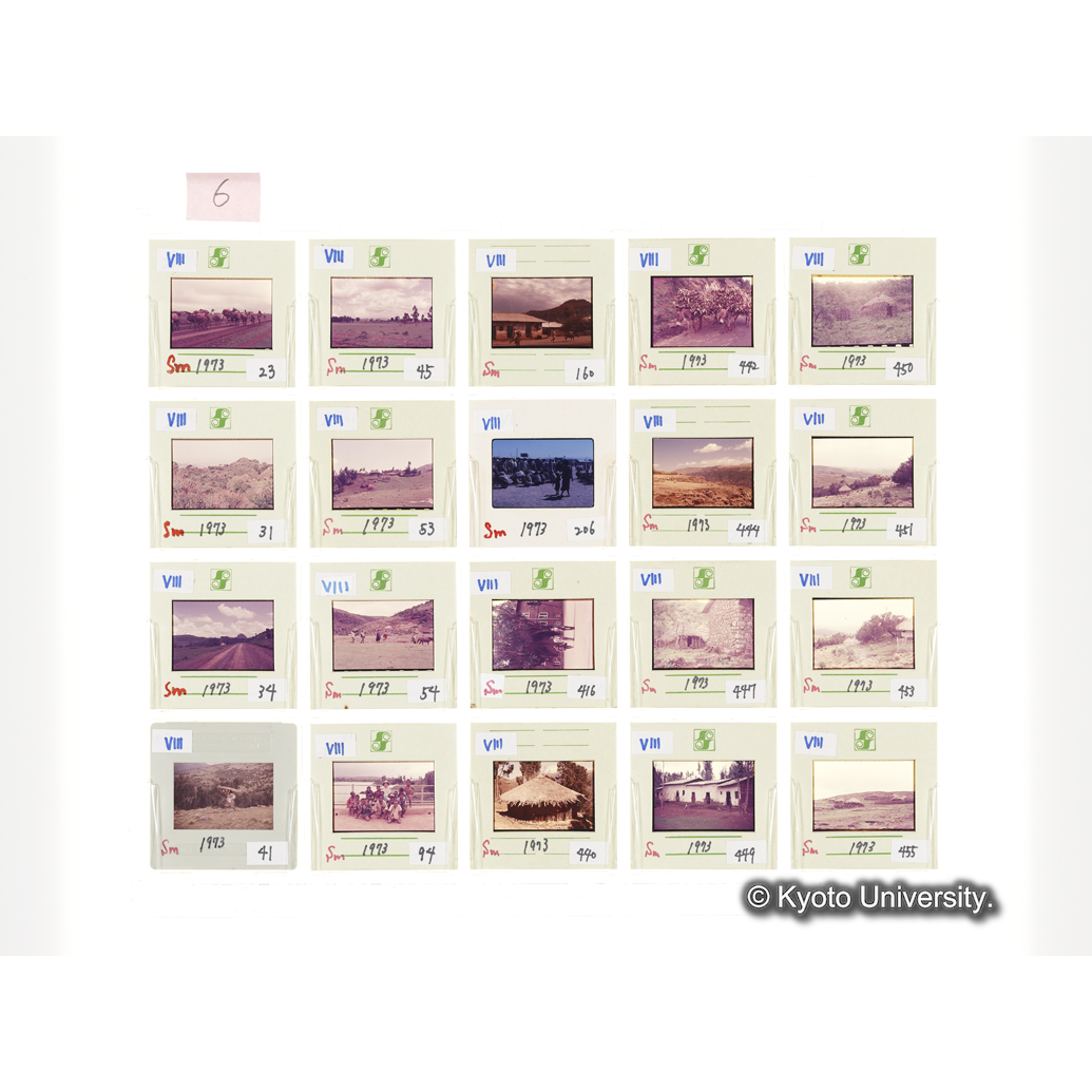 [スライドシート] 6 (1)