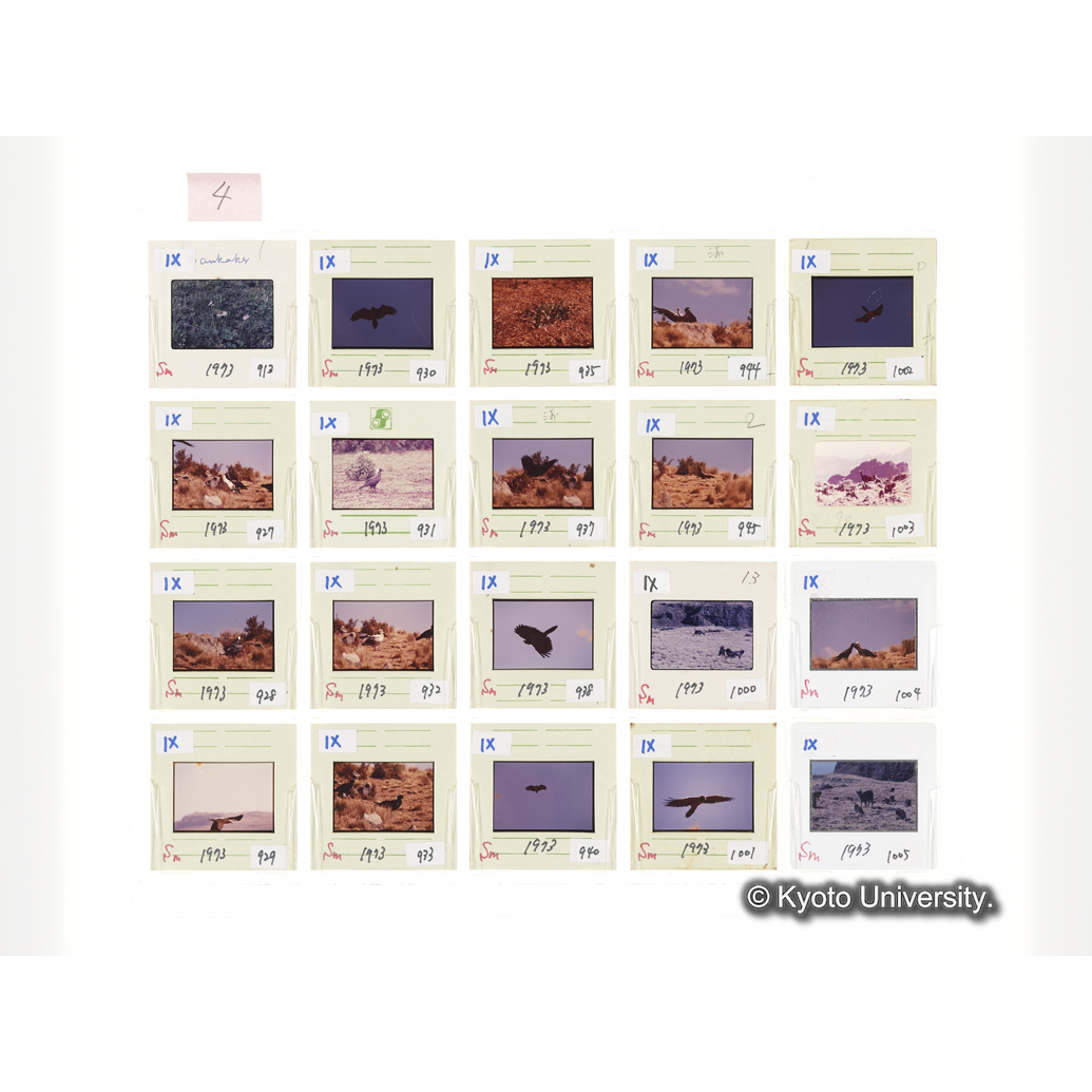 [スライドシート] 4 (1)