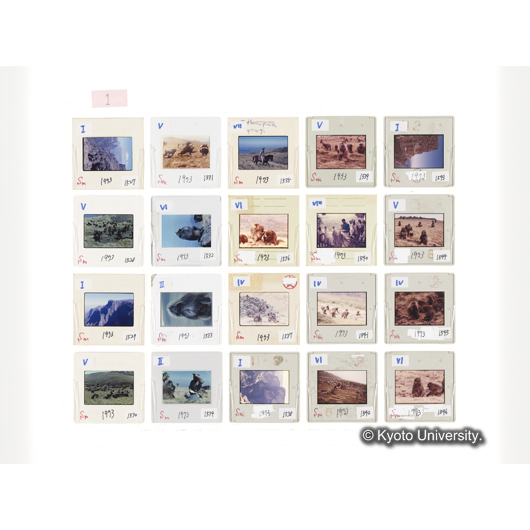 [スライドシート] 1 (1)