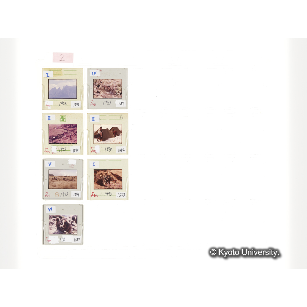 [スライドシート] 2 (1)