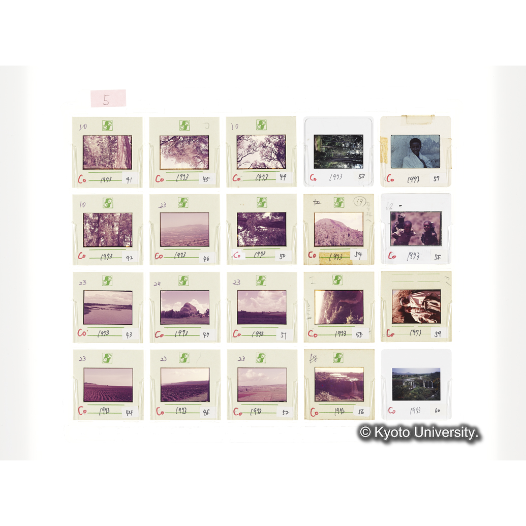 [スライドシート] 5 (1)