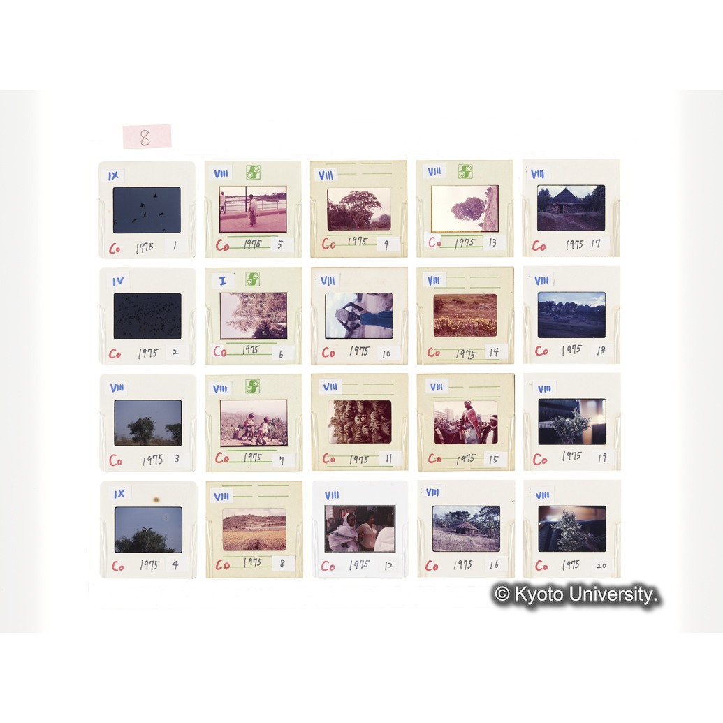 [スライドシート] 8 (1)