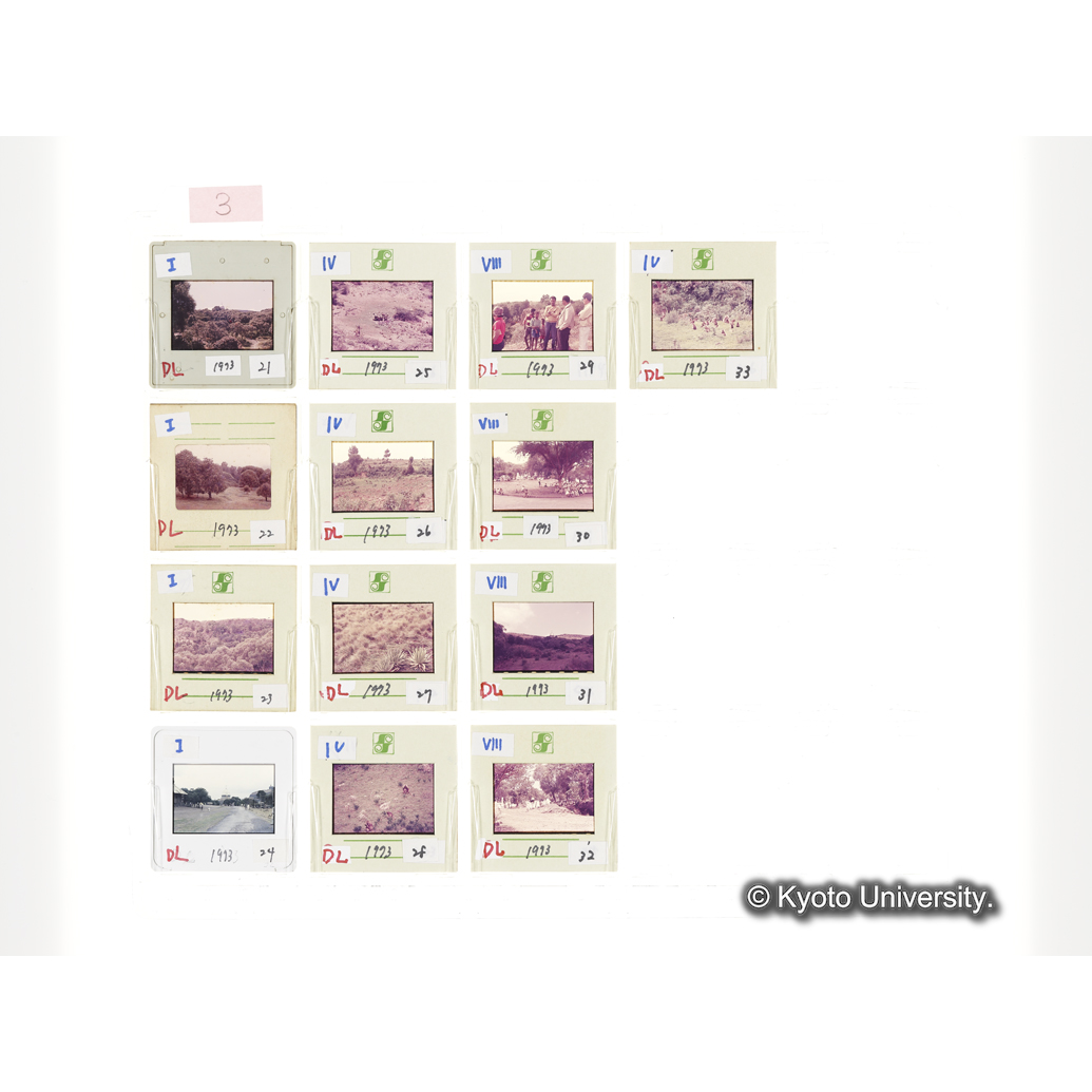 [スライドシート] 3 (1)