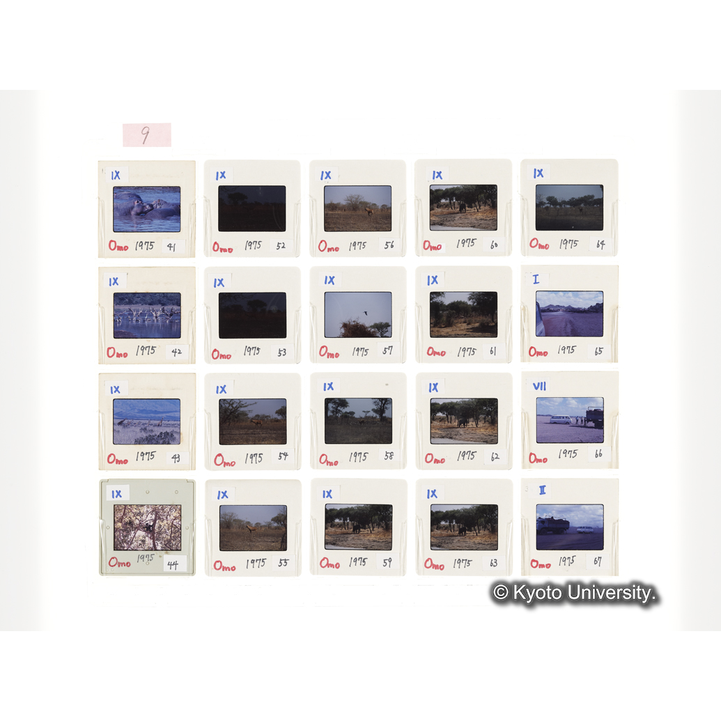 [スライドシート] 9 (1)