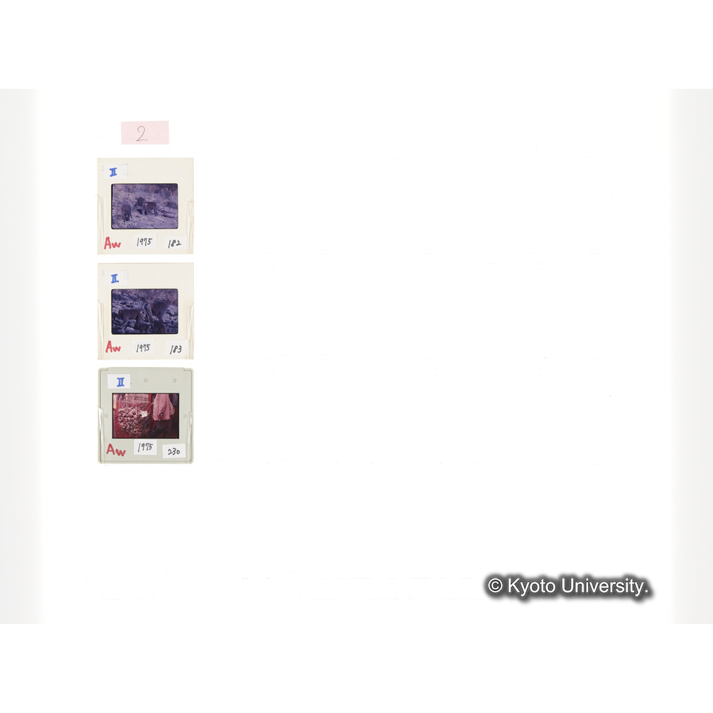 [スライドシート] 2 (1)