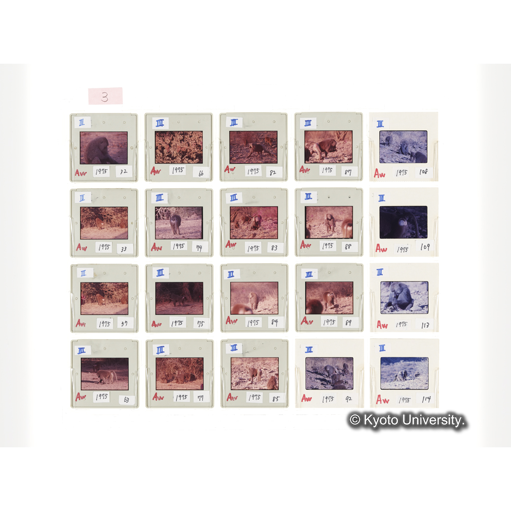 [スライドシート] 3 (1)