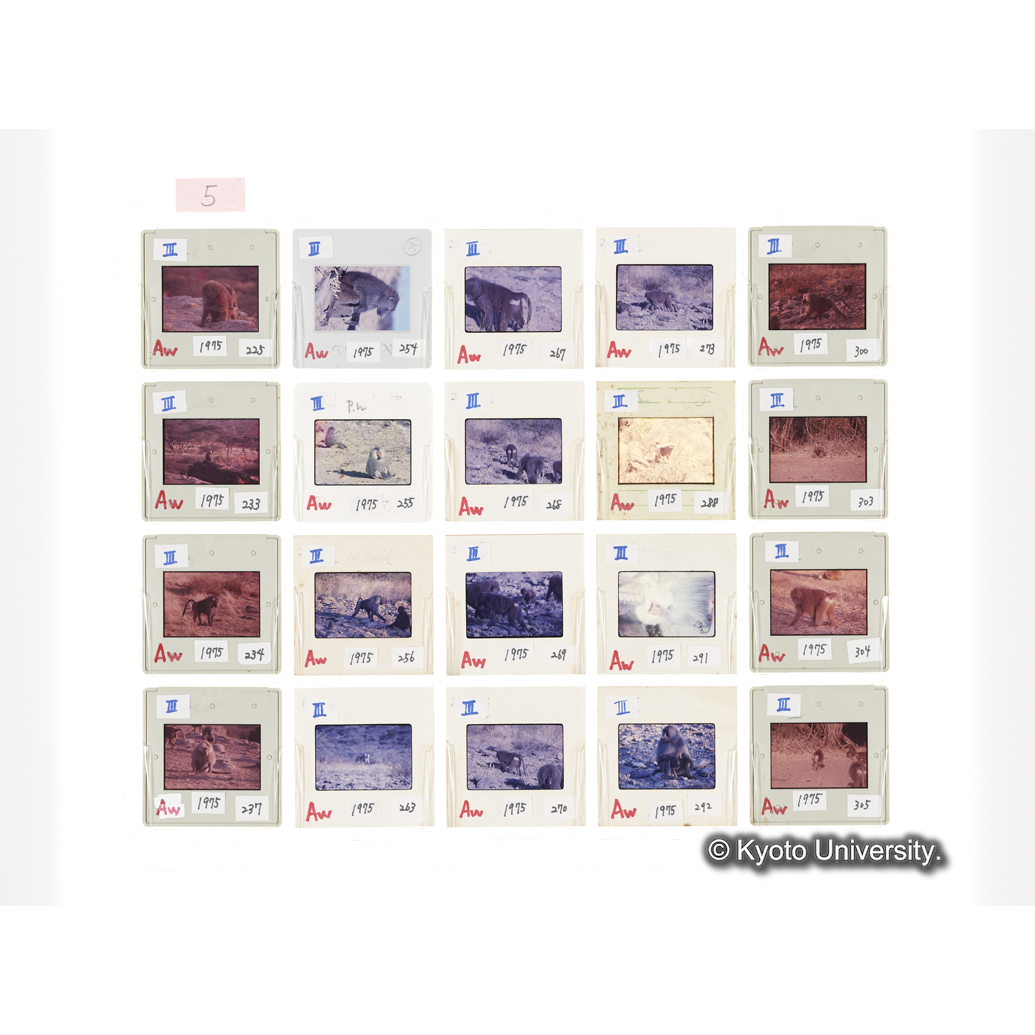 [スライドシート] 5 (1)