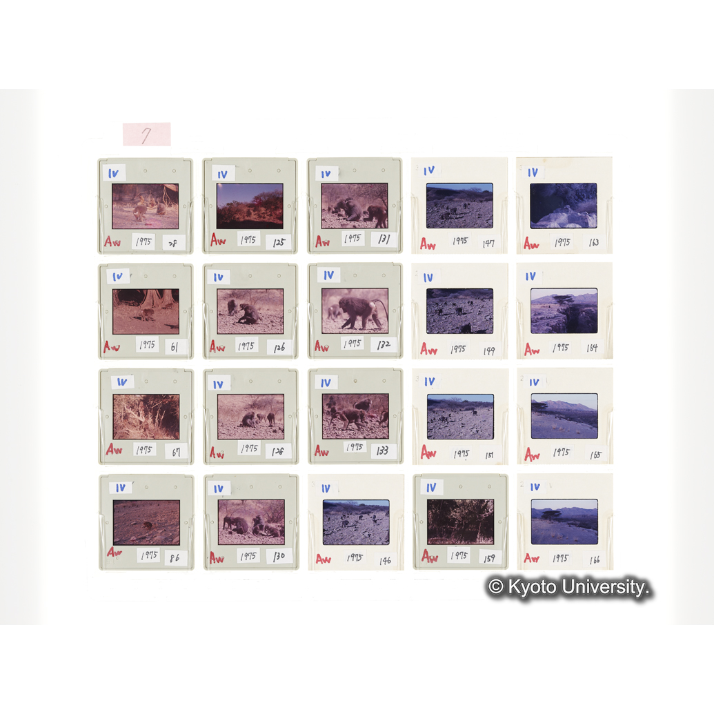 [スライドシート] 7 (1)