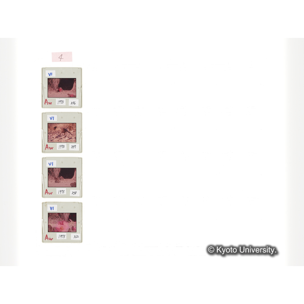 [スライドシート] 4 (1)