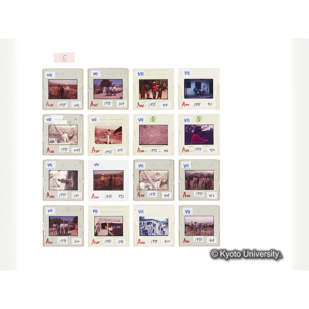 [スライドシート] 5 (1)