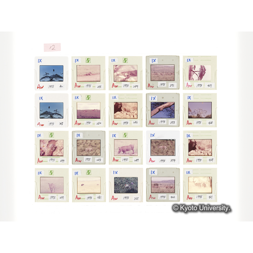 [スライドシート]12 (1)