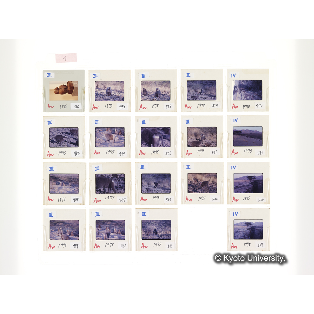 [スライドシート] 4 (1)