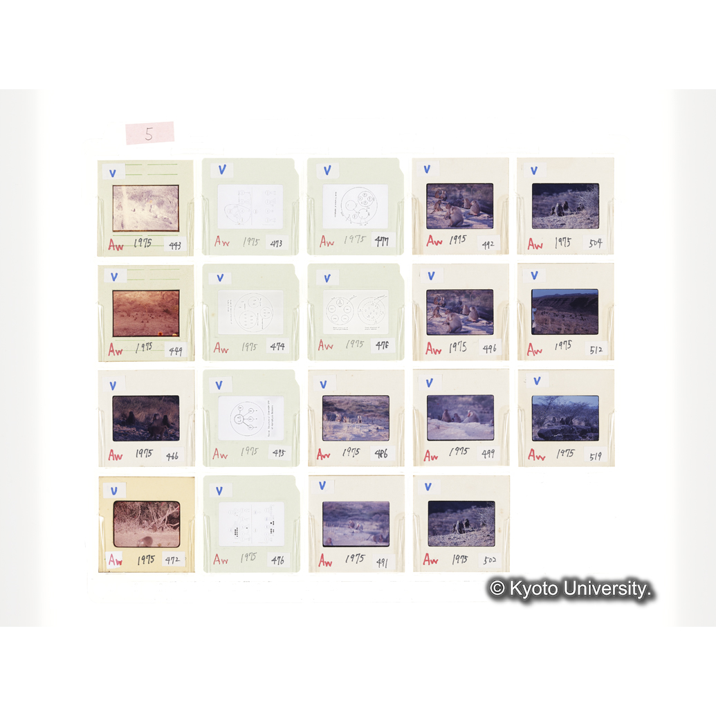 [スライドシート] 5 (1)