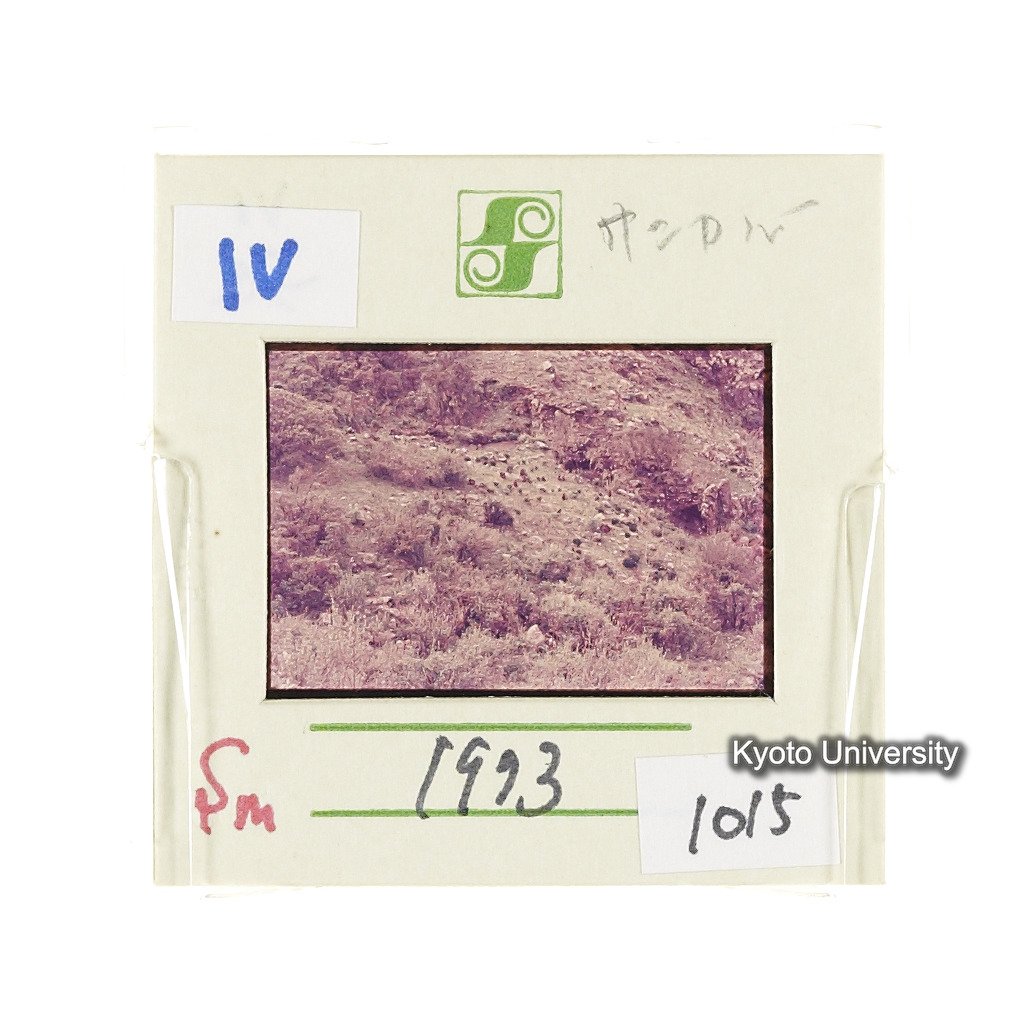 Sm　1973　1015 (2)