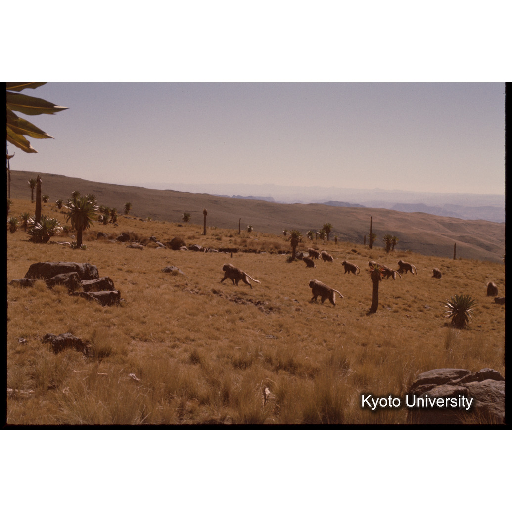 Sm　1973　1030 (1)