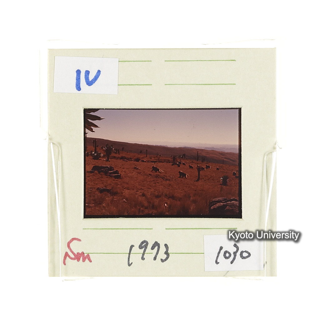 Sm　1973　1030 (2)