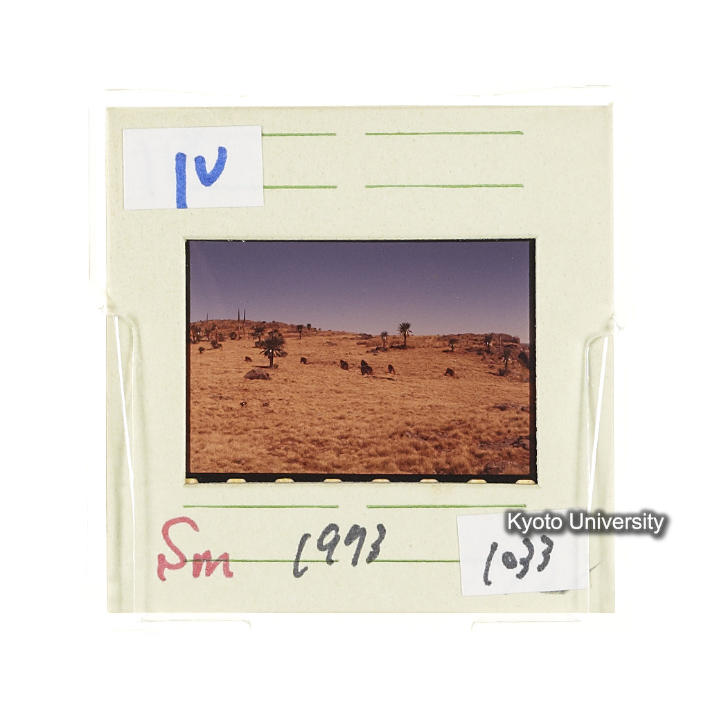 Sm　1973　1033 (2)