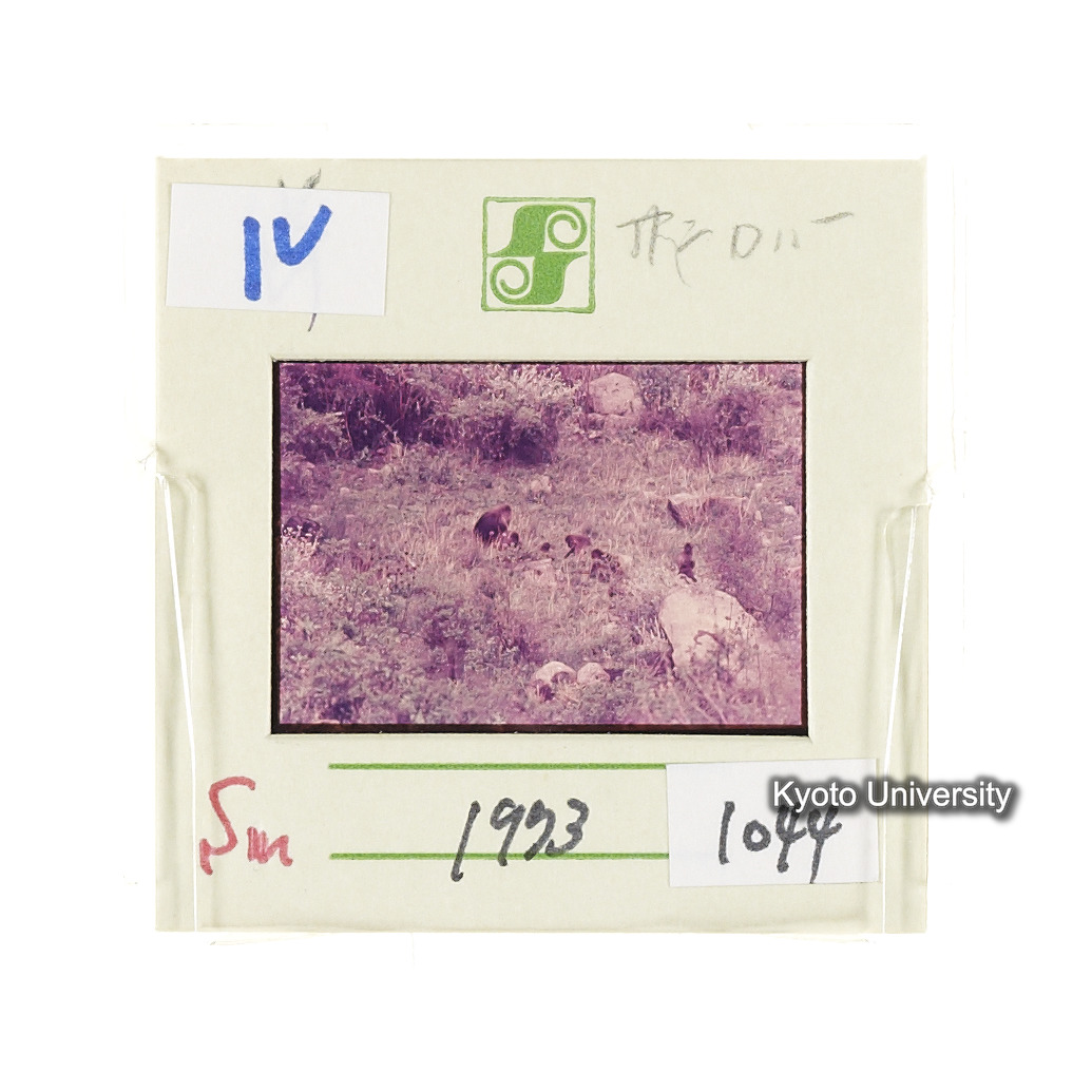 Sm　1973　1044 (2)