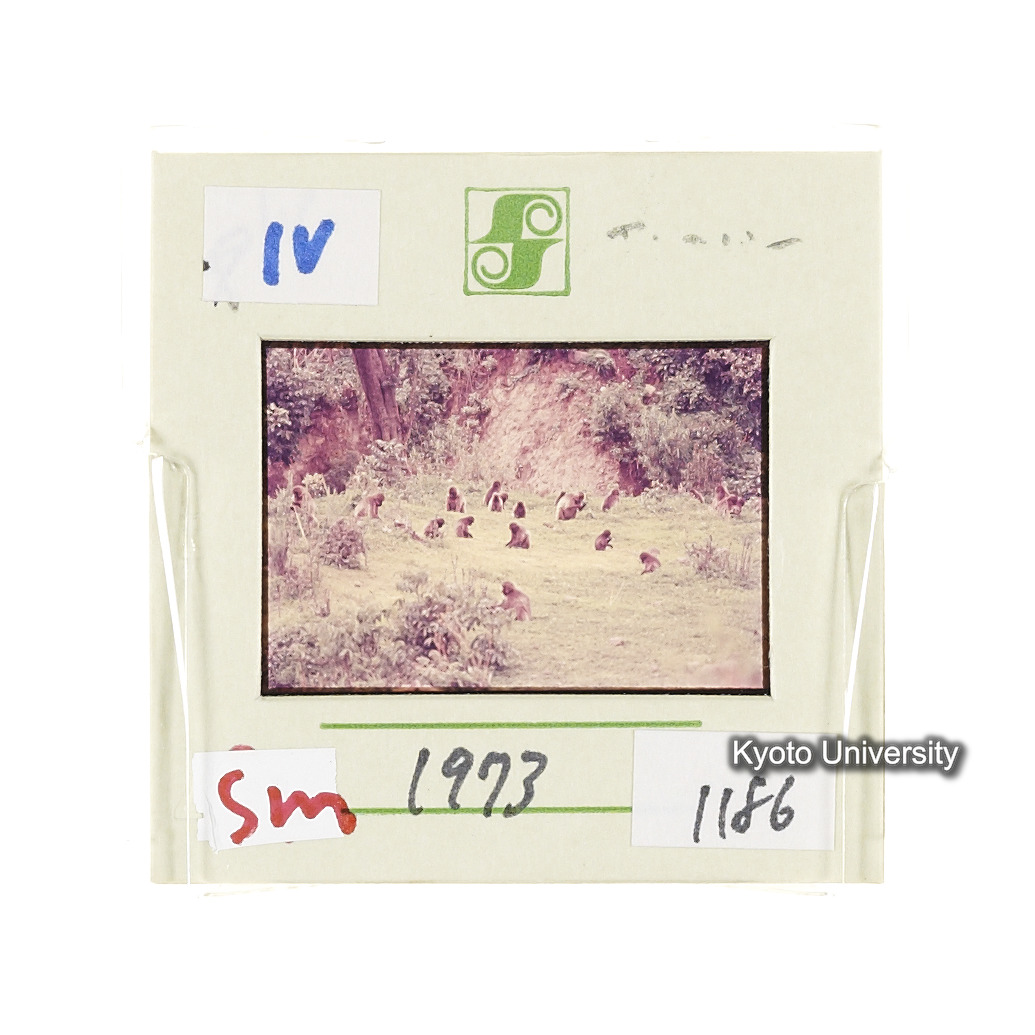 Sm　1973　1186 (2)